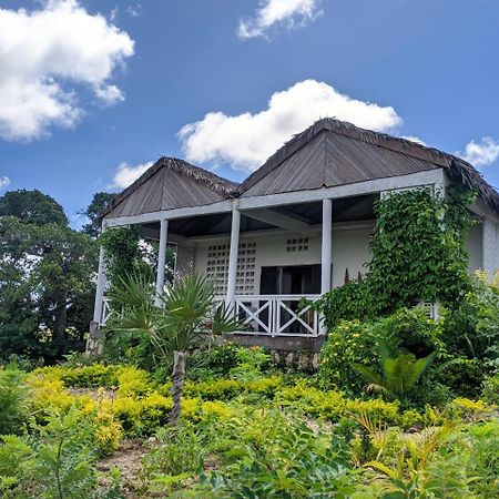 La Maison D'Hote De La Foret Retrouvee 마하장가 외부 사진